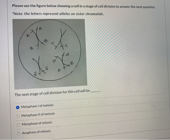 Solved Please use the figure below showing a cell in a stage | Chegg.com