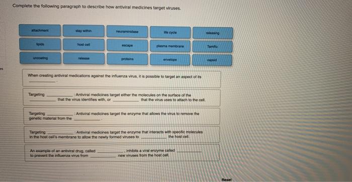 Complete the following paragraph to describe how antiviral medicines target viruses.
When creating antivial medicatioes again