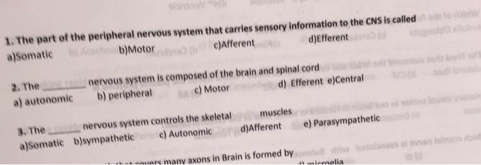 Solved de 1. The part of the peripheral nervous system that | Chegg.com