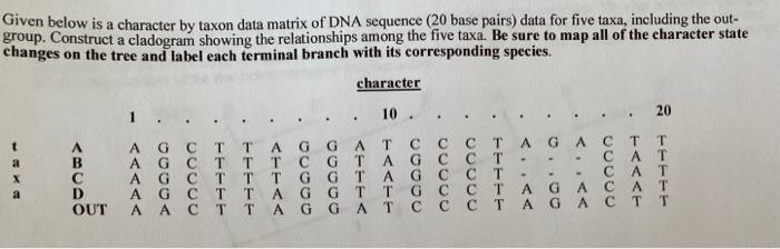Given below is a character by taxon data matrix of | Chegg.com
