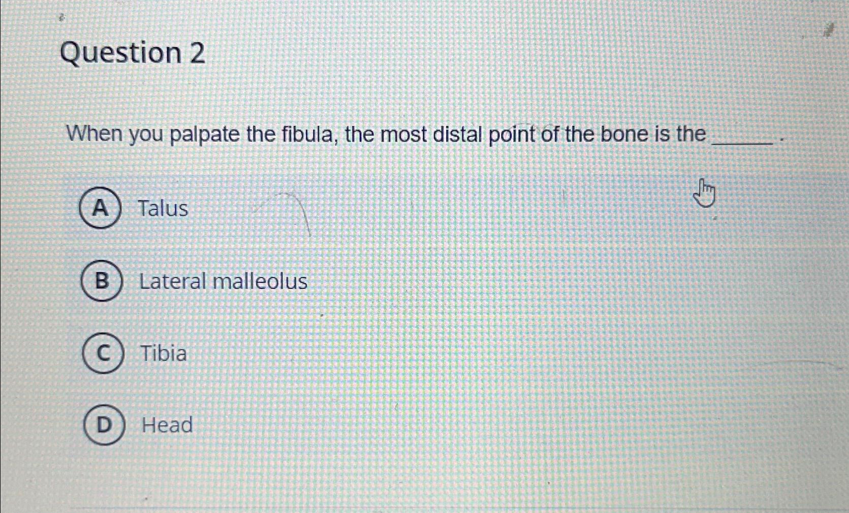 Solved Question 2When you palpate the fibula, the most | Chegg.com