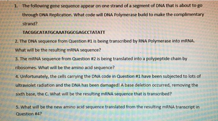 Solved 1. The following gene sequence appear on one strand | Chegg.com