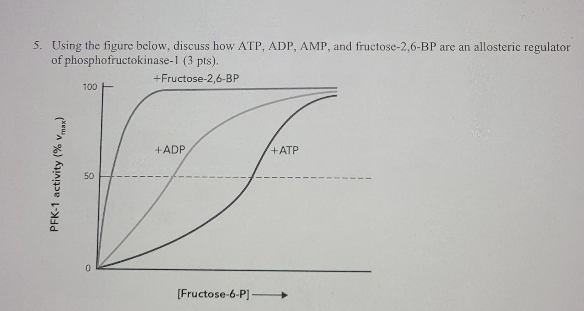 Phosphofructokinase Regulation The Key Role Of Adp And Atp - 4cmotsw