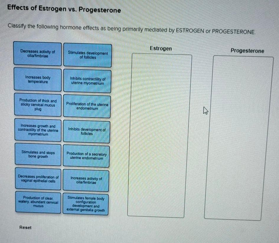 Solved Effects of Estrogen vs. Progesterone Classify the | Chegg.com