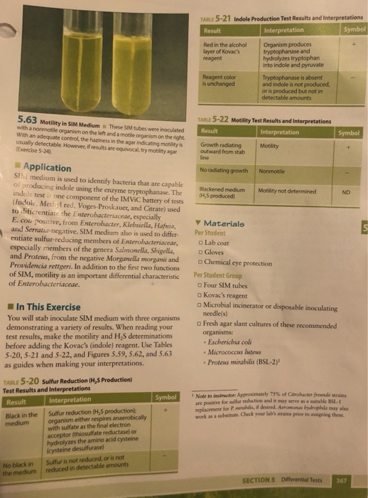518 SIM Medium Determination of Sulfur Reduction,
