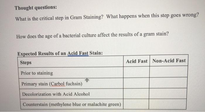 Solved Thought questions: What is the critical step in Gram | Chegg.com