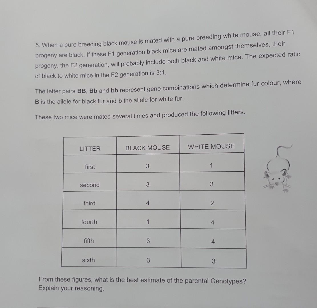 Solved 5. When a pure breeding black mouse is mated with a | Chegg.com