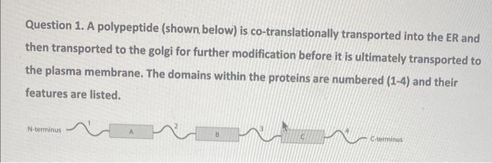 Solved Question 1. A Polypeptide (shown, Below) Is | Chegg.com