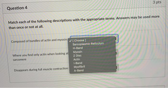 Solved Match each of the following descriptions with the | Chegg.com