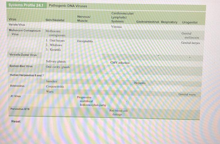 Solved Systems Profile 24.1 Pathogenic DNA Viruses | Chegg.com
