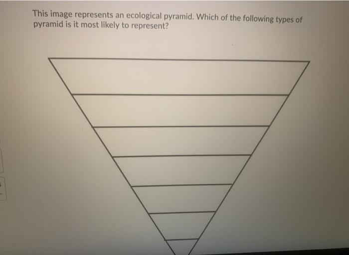 Solved This image represents an ecological pyramid. Which of | Chegg.com