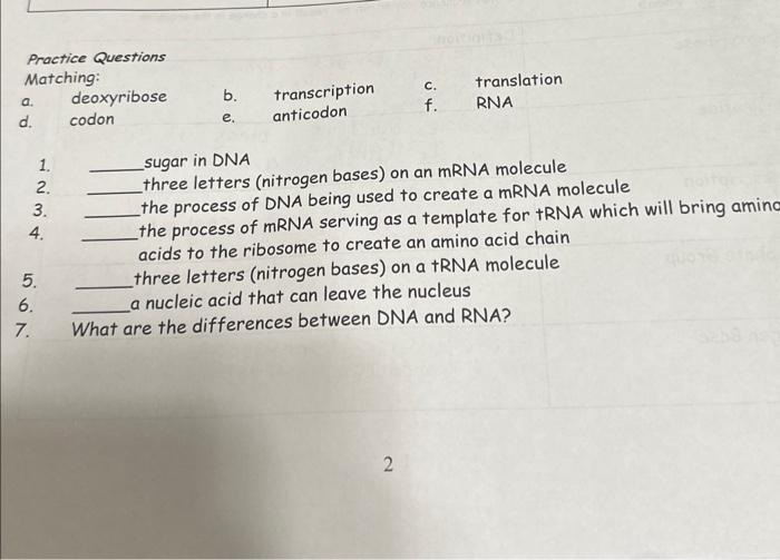 Practice Questions
Matching:
a. deoxyribose
b. transcription
c. translation
d. codon
e. anticodon
f. RNA
1. sugar in DNA
2. t