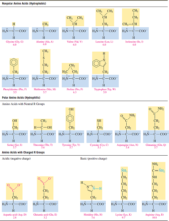 Solved: Classify The Amino Acids In Sample Problem 19.1 As Pola 