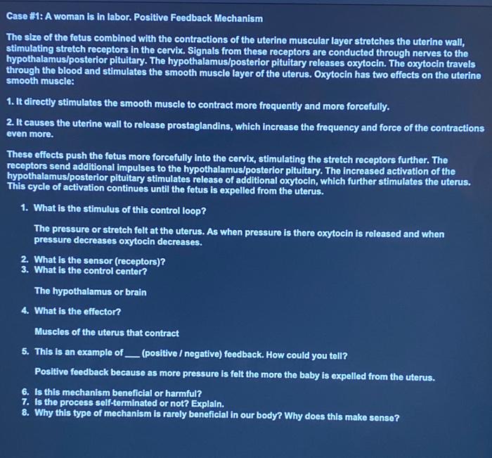 solved-case-1-a-woman-is-in-labor-positive-feedback
