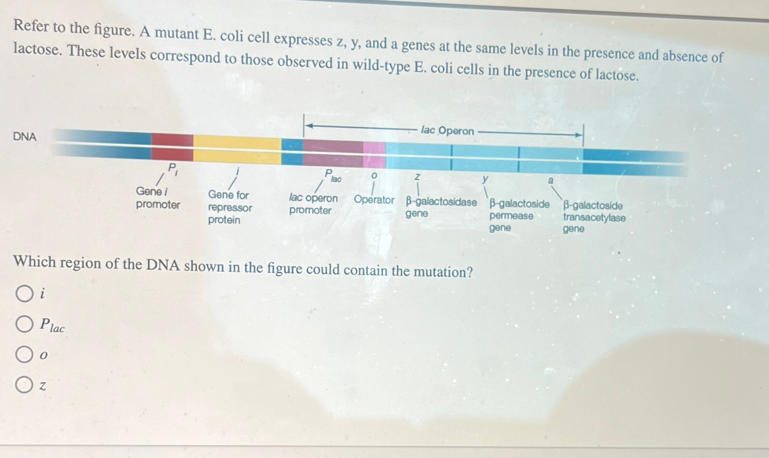 Solved Refer to the figure. A mutant E. ﻿coli cell expresses | Chegg.com