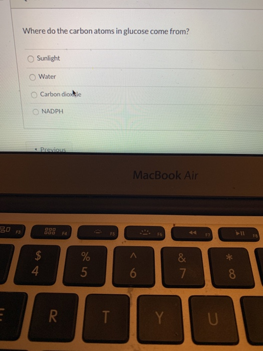 Solved Where do the carbon atoms in glucose come from?
