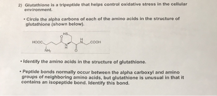 tripeptide glutathione Glutathione is a tripeptide cofactor for the enzyme main image 1