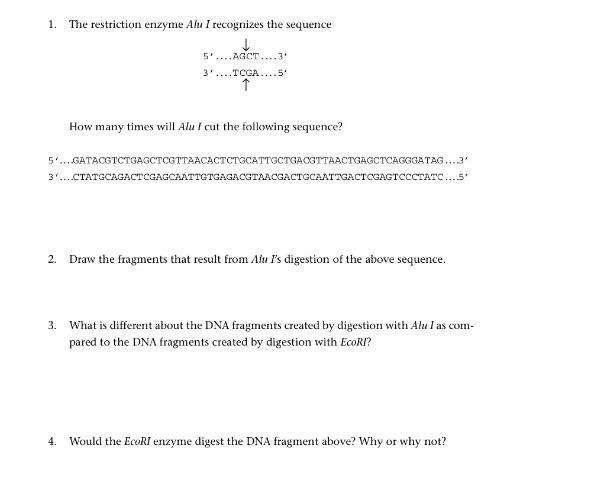 Solved Follow Up Questions 1 Some Restriction Enzymes Cut Chegg Com