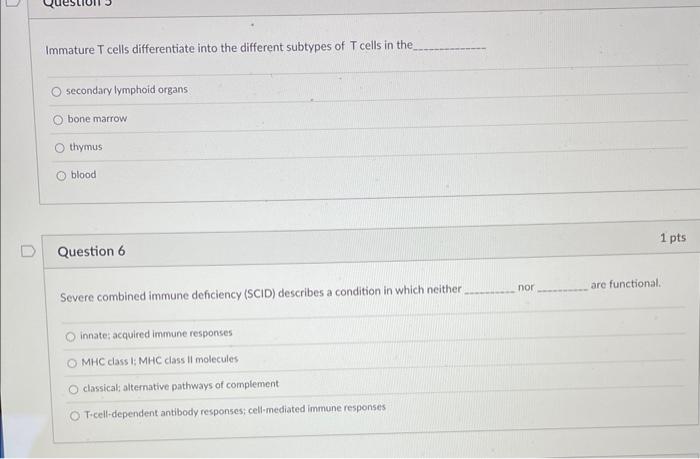 what are immature t cells called