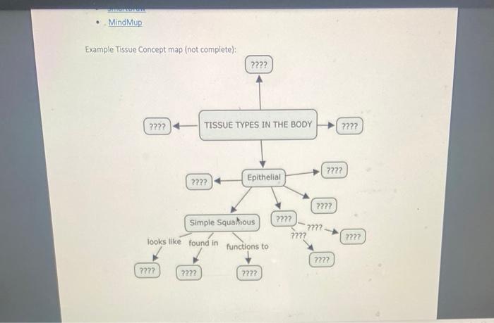 Solved CH 4 Tissue: The Living Fabric (Unit 2) BIOL 2401 | Chegg.com