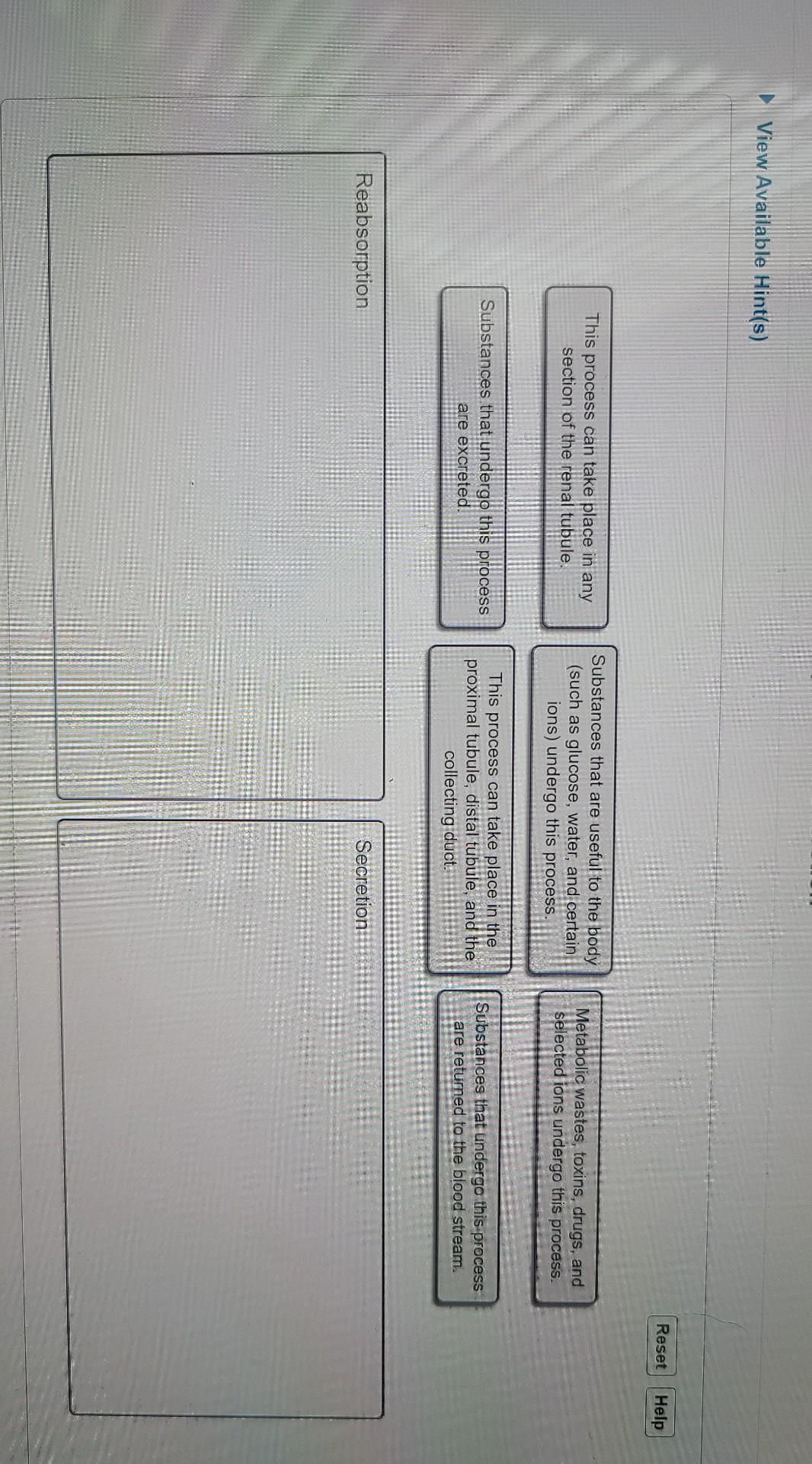 Solved &lt;Ch 25 Urinary System Activities Ip 2.0: Tubular | Chegg.com