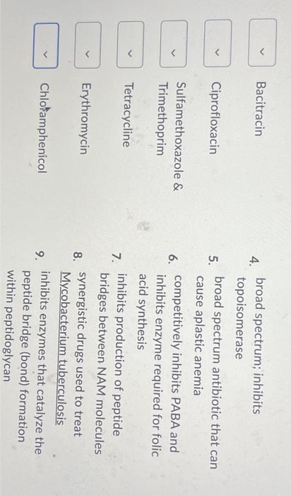 Solved 1 Broad Spectrum Antibiotic That Can Penicillin Chegg Com   Image