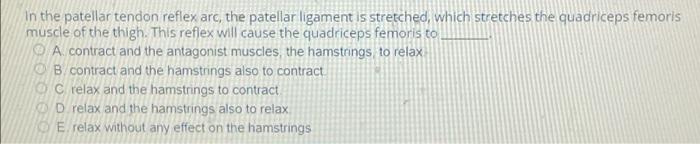 Solved In the patellar tendon reflex arc, the patellar | Chegg.com