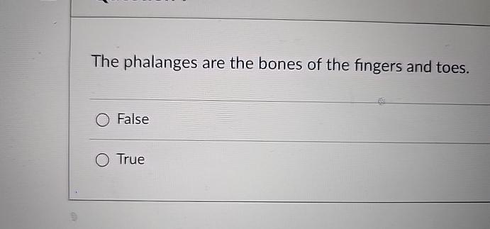 the bones of the fingers and toes are known as the blank