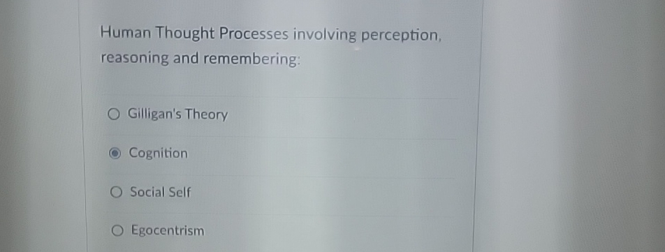 Solved Human Thought Processes involving perception, | Chegg.com