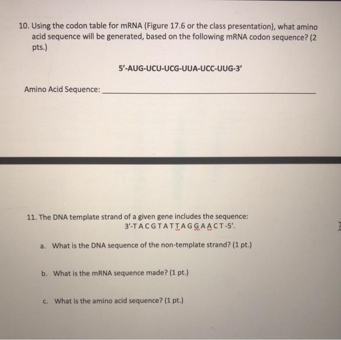 Solved 10. Using the codon table for mRNA (Figure 17.6 or | Chegg.com