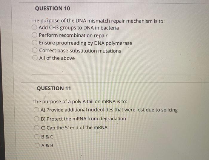 Solved QUESTION 10 The purpose of the DNA mismatch repair | Chegg.com
