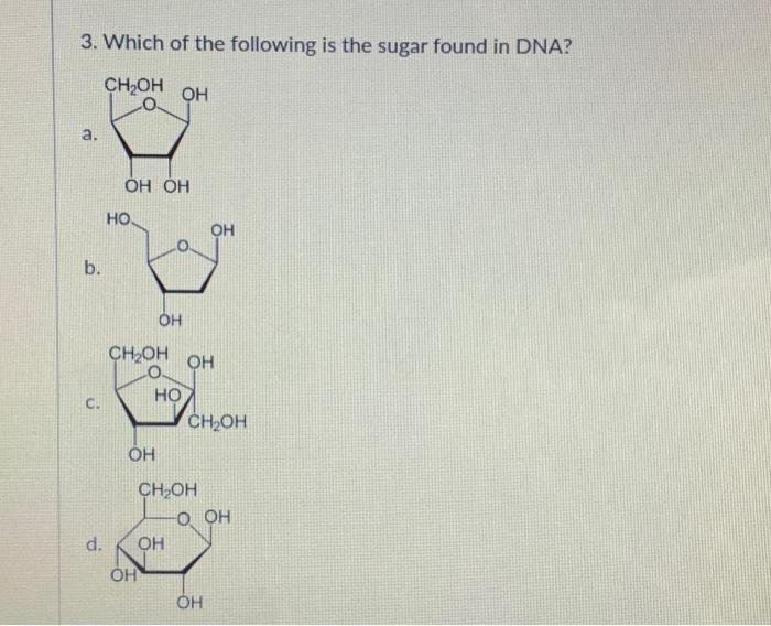Solved 3. Which of the following is the sugar found in DNA?