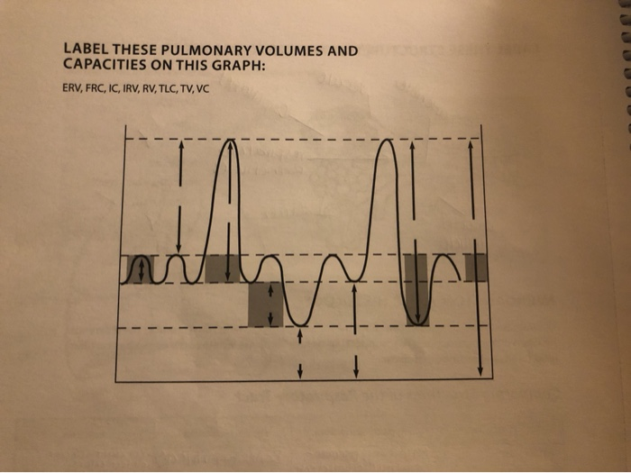 Solved LABEL THESE PULMONARY VOLUMES AND CAPACITIES ON THIS | Chegg.com