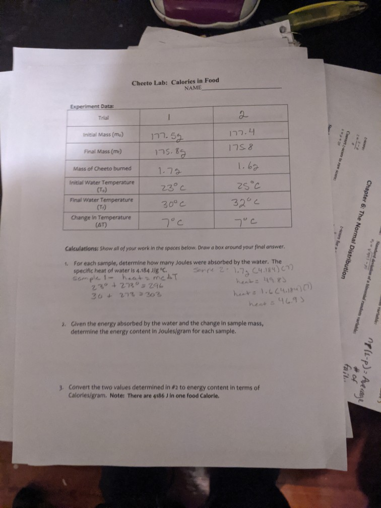 Cheeto Lab Calories in Food NAME Experiment Data