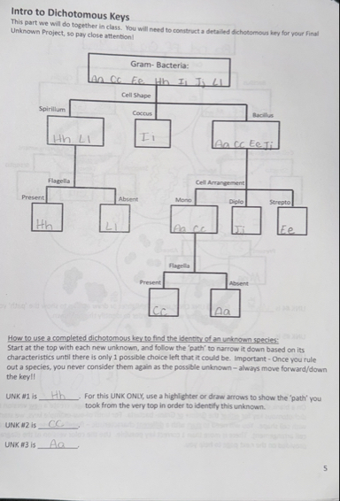 Solved Intro to Dichotomous KeysThis part we will do | Chegg.com