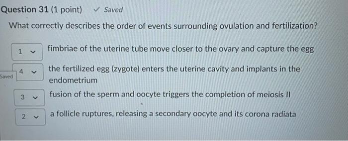 Solved Question 12 1 Point What Happens To The Blood In Chegg