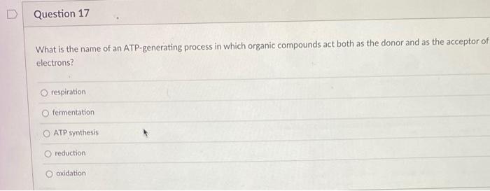 Solved Question 13 What Enzyme Catalyzes The Anaplerotic 6904