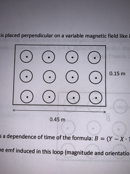 Perpendicular Loop Solved A rectangular loop is placed perpendicular on a | Chegg.com