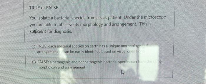 Solved TRUE or FALSE. You isolate a bacterial species from a | Chegg.com