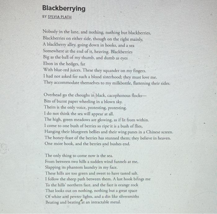 BY SYLVIA PLATH Nobody in the lane, and nothing, | Chegg.com