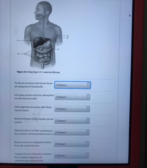 solved-figure-23-3-using-figure-233-match-the-following-chegg