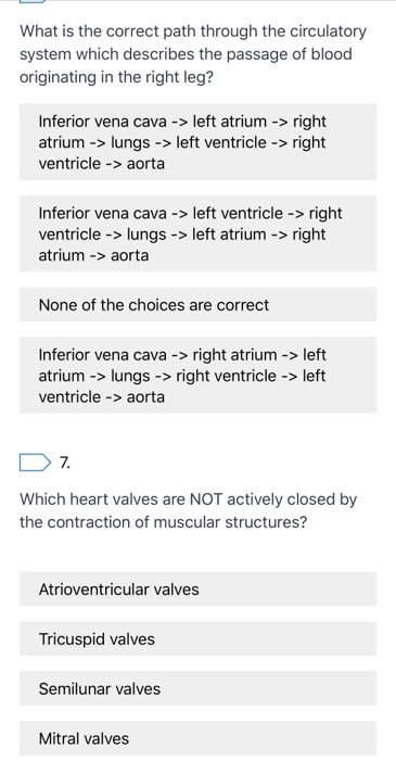 solved-what-is-the-correct-path-through-the-circulatory-chegg