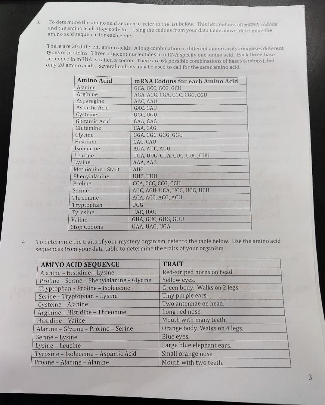Solved 10. A frameshift mutation involves the addition or a