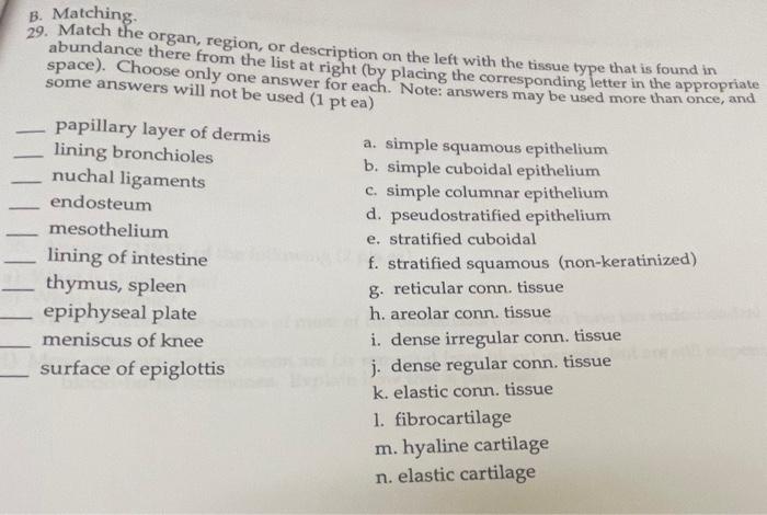 Solved B. Matching. 29. Match The Organ, Region, Or | Chegg.com