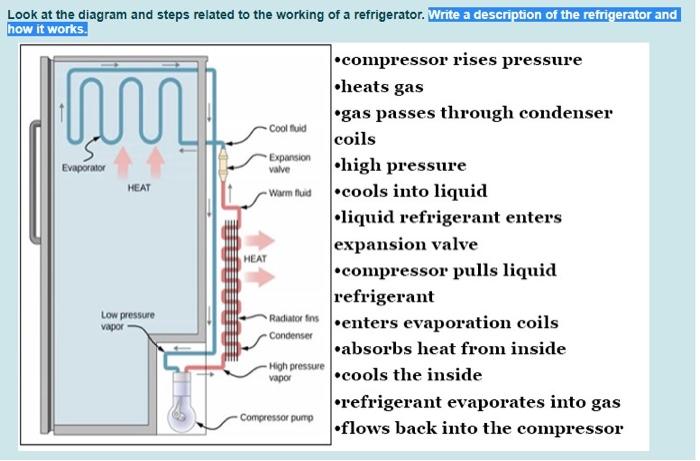 Solved លោហ valve Look at the diagram and steps related to | Chegg.com