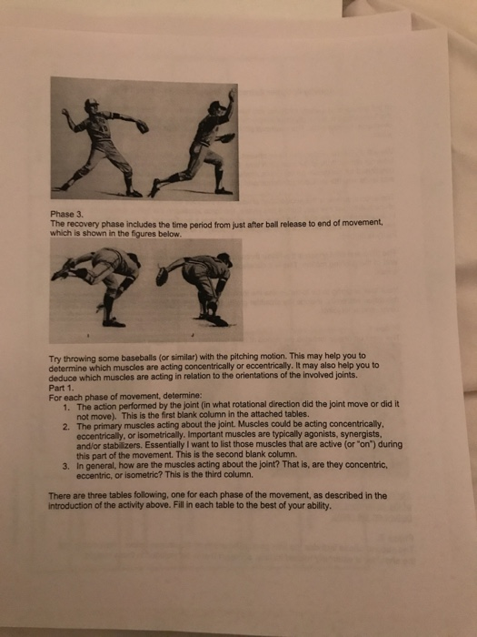 A Brief Upper Extremity Anatomical Overview of The Pitching Motion