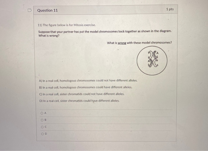 Solved Question 11 1 pts 11) The figure below is for Mitosis | Chegg.com