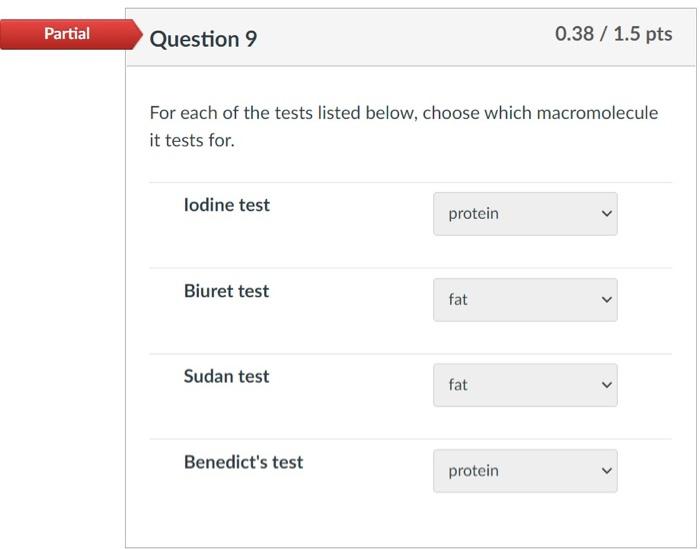 Solved Partial Question 8 1/1.5 pts As a curious college | Chegg.com