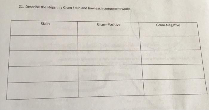 Solved Describe the steps in a Gram stain and how each | Chegg.com