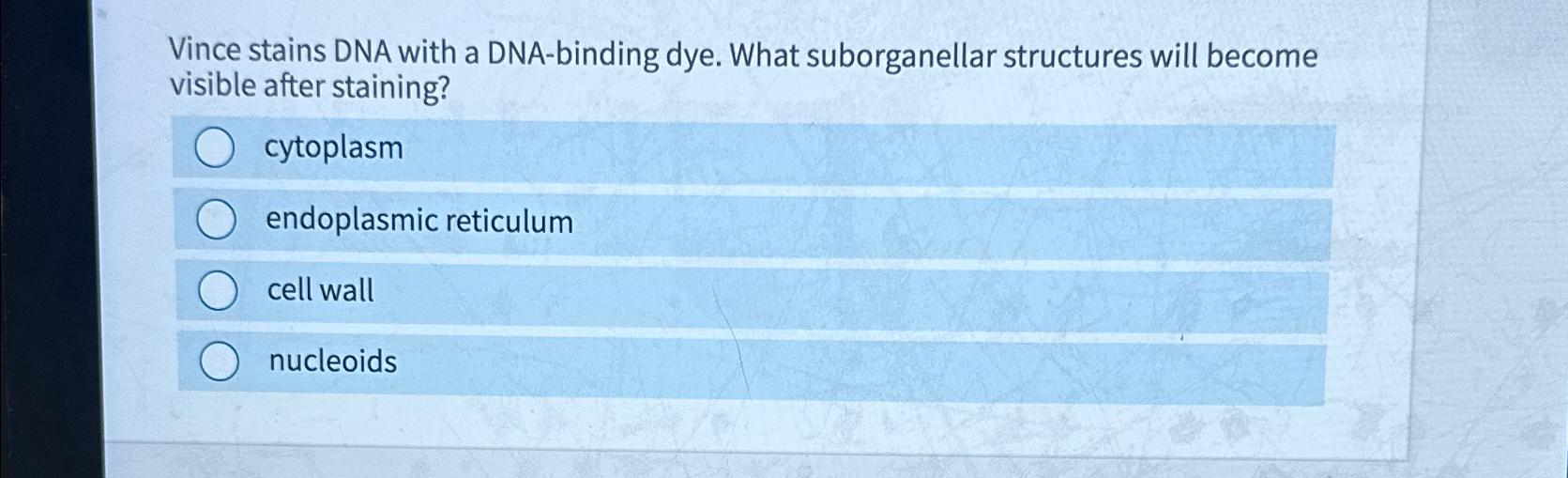 Solved Vince stains DNA with a DNA-binding dye. What | Chegg.com